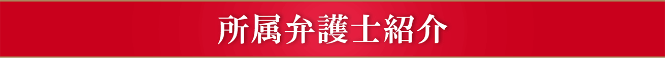 所属弁護士の紹介